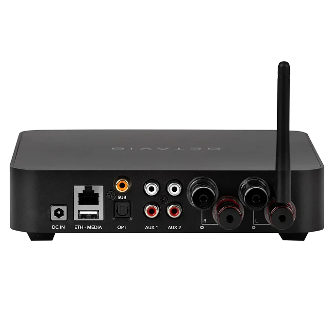 Усилитель Octavio Amp 100W Black - рис.2