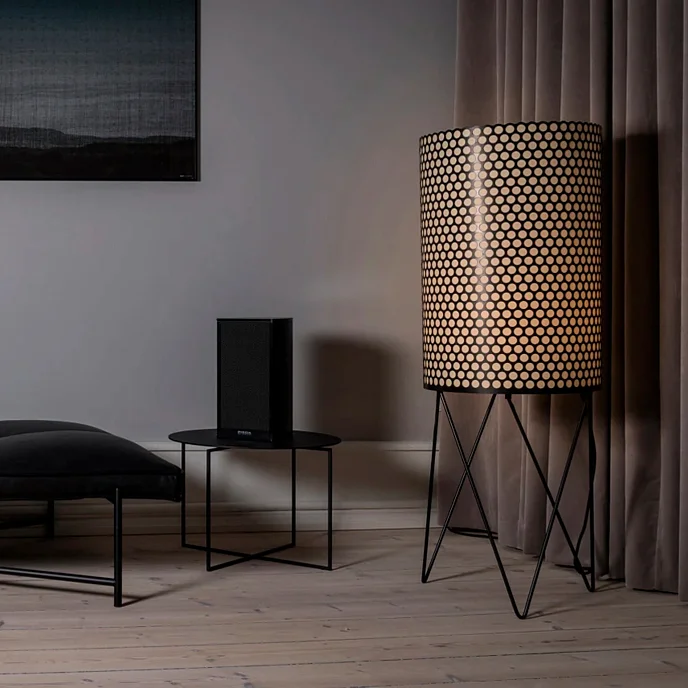 Полочная акустика Piega Premium 301 Black - рис.5