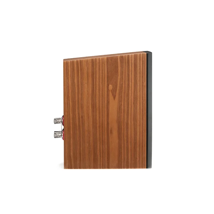 Полочная акустика Martin Logan Motion XT B100 Bookshelf Walnut - рис.5