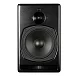 Студийный монитор PSI Audio A21-Ms Black - рис.1