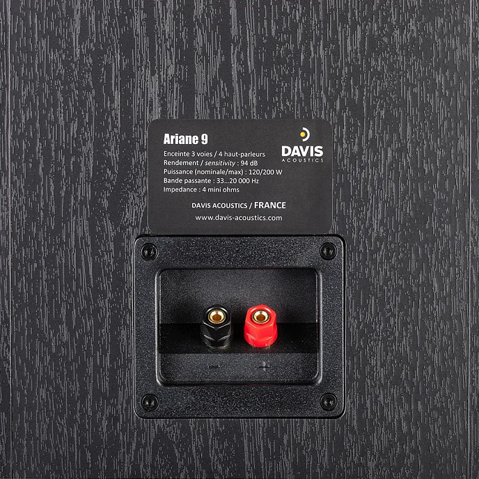 Напольная акустика Davis Acoustics Ariane 9 Black - рис.3