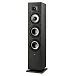 Напольная акустика Polk Audio Monitor XT60 Black - рис.1