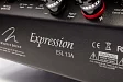 Напольная акустика Martin Logan Expression ESL 13A Gloss Black - рис.3