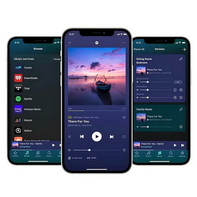 Интегральный усилитель WiiM Amp Ultra Space Grey - рис.8