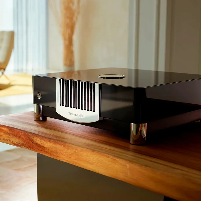 Усилитель мощности MBL N21 Stereo Power Amplifier Piano Black Palinux - рис.12