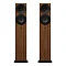 Amphion Argon3LS Walnut