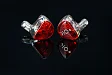 - рис.12 IEM наушники Aurian Sunset Universal - рис.12