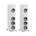 Напольная акустика Martin Logan Foundation F2 Satin White - рис.0