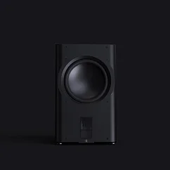 Сабвуфер Perlisten Audio D215s Piano Black