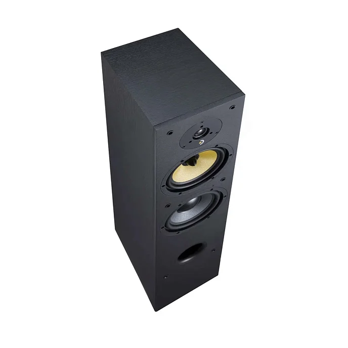 Напольная акустика Davis Acoustics Ariane 5 Black - рис.5