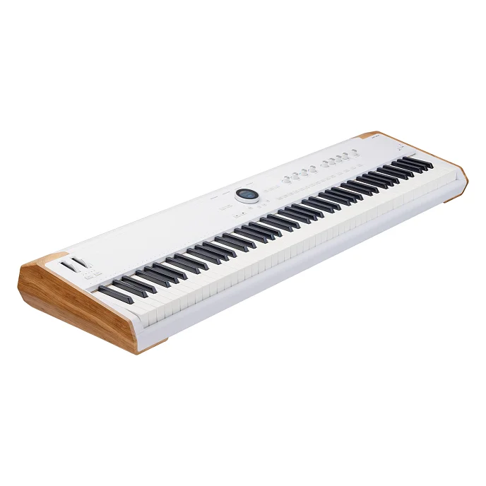 Синтезатор Arturia AstroLab 88 White - рис.1