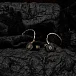 Наушники внутриканальные DUNU Talos - рис.8