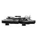 Проигрыватель винила Pro-Ject ART Harley Davidson Turntable - рис.5