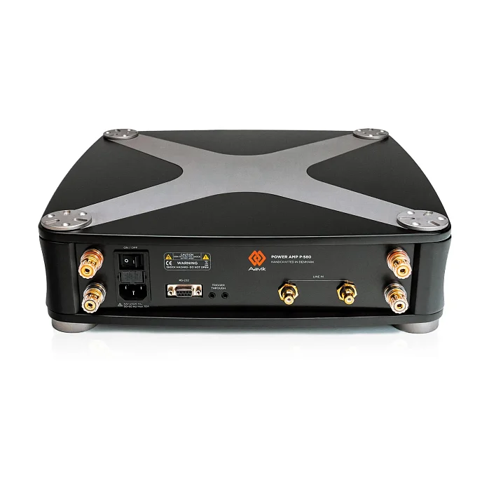 Усилитель мощности Aavik P-580 Black - рис.5