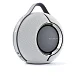 Портативная колонка Devialet Mania Light Grey + Mania Station - рис.2