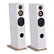 Davis Acoustics Courbet N 8 White Matte