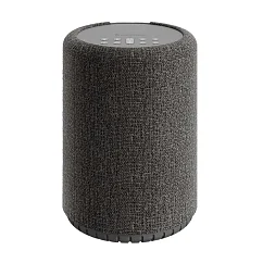 Портативная колонка Audio Pro A10 MKII Dark Grey