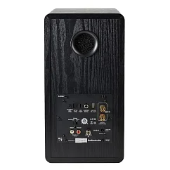 Полочная акустика Radiotehnika S-20NA Black Ash