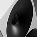 Напольная акустика Amphion Argon3LS White Black - рис.6