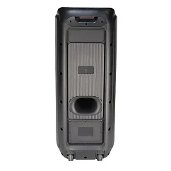 Портативная колонка Microlab PT1000W Black