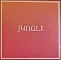 Jungle – Volcano LP