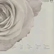 Пластинка Depeche Mode – The Best Of (Volume 1) 3LP - рис.1