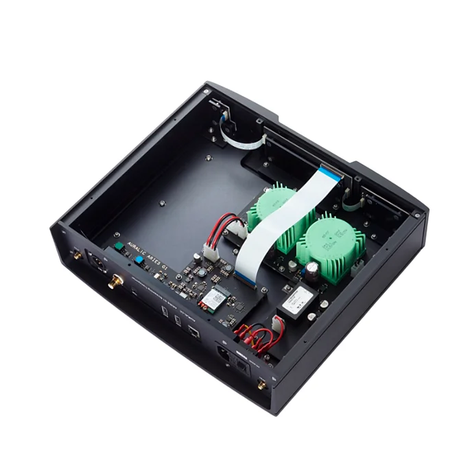 Сетевой аудиоплеер AURALiC ARIES G1 Black - рис.2