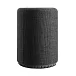 - рис.1 Портативная колонка Audio Pro A10 MKII Dark Grey - рис.1