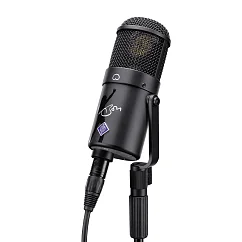 Микрофон студийный Neumann U47 Fet Bon Scott Edition