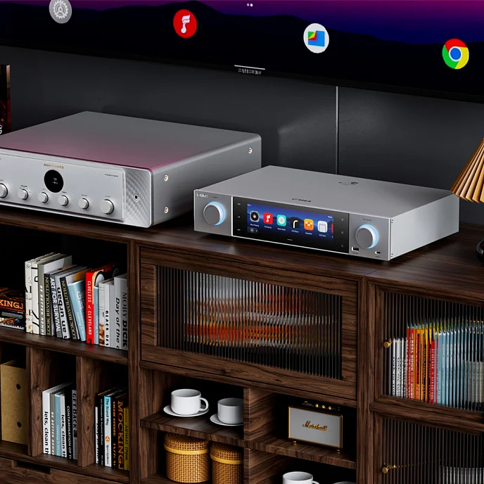 Сетевой аудиоплеер FiiO S15 Silver - рис.14