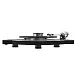 Проигрыватель винила Pro-Ject ART Harley Davidson Turntable - рис.6