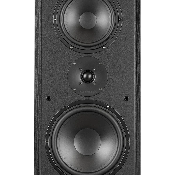 Напольная акустика Premiera ES-831 Black - рис.2