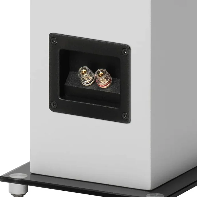 Напольная акустика Pro-Ject Speaker Box 10 E Carbon Satin White - рис.6