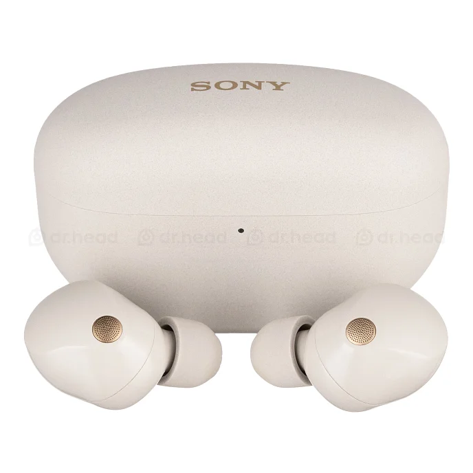 Беспроводные наушники Sony WF-1000XM5 Silver - рис.1
