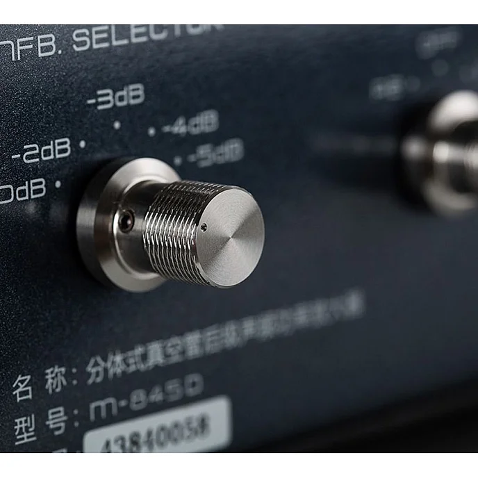 Усилитель мощности Cayin M-845D - рис.5
