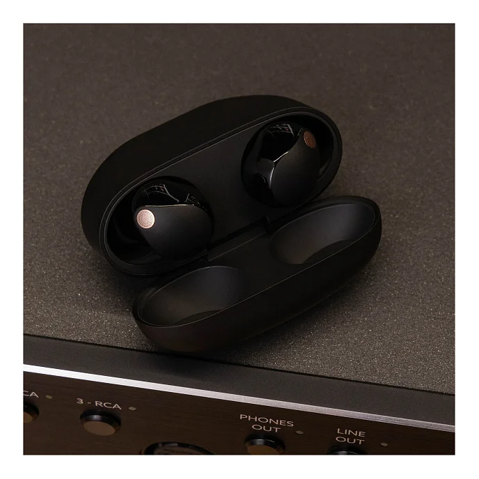 Беспроводные наушники Sony WF-1000XM5 Black - рис.11