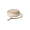 Bang & Olufsen Beosound A1 2nd Gen Gold Tone