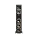 Напольная акустика Martin Logan Motion XT F100 Tower Walnut - рис.3