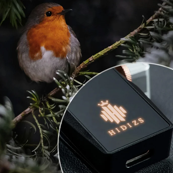 Усилитель для наушников с ЦАП Hidizs S8 Pro Silver - рис.5