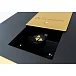 CD проигрыватель Metronome AQWO 2 Black Gold - рис.3