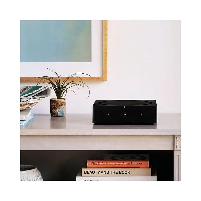 Интегральный усилитель Sonos Amp - рис.7