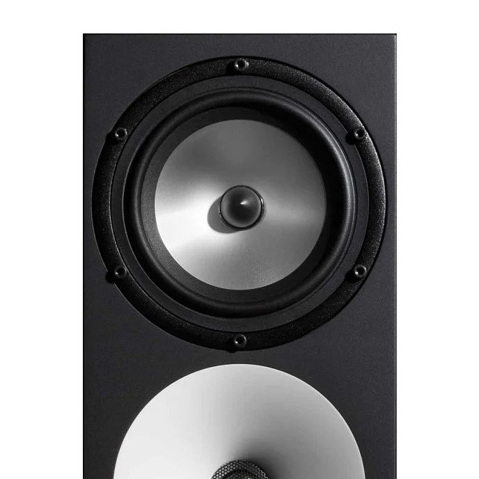 Студийный монитор Amphion Two18 Black пассивный студийный монитор Уценка - рис.6