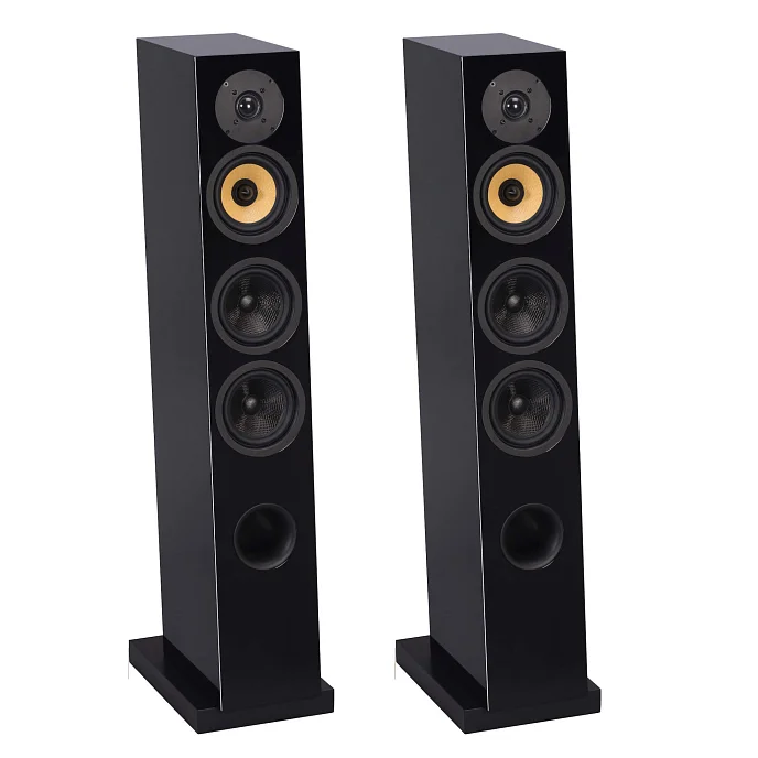 Напольная акустика Davis Acoustics Courbet N 5 Black - рис.0