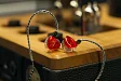 - рис.6 IEM наушники Aurian Sunset Universal - рис.6