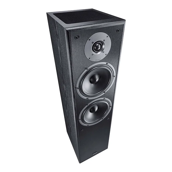 Напольная акустика Magnat Monitor S80 ATM Black - рис.4