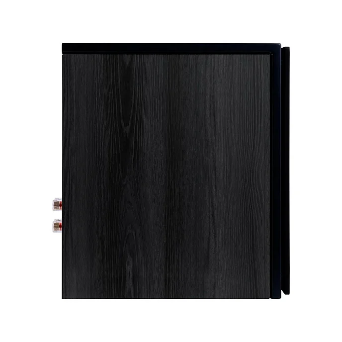 Полочная акустика HECO Aurora XT 300 Black/Oak - рис.5