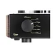 Интегральный усилитель Mastersound Compact 300B Black Wood - рис.3