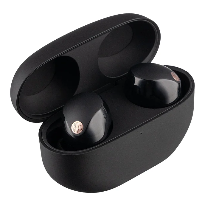 Беспроводные наушники Sony WF-1000XM5 Black - рис.2