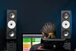 Студийный монитор Amphion Two18 Black пассивный студийный монитор Уценка - рис.27