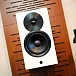 Полочная акустика Dynaudio Focus 10 Highgloss White - рис.8